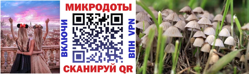 Купить  Вуктыл  Галлюциногенные грибы GOLDEN TEACHER 